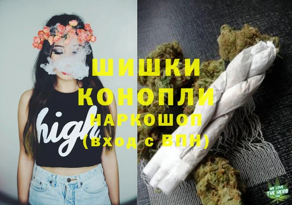 МДПВ Мегион
