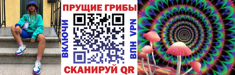 где продают   Тарко-Сале  Псилоцибиновые грибы GOLDEN TEACHER 